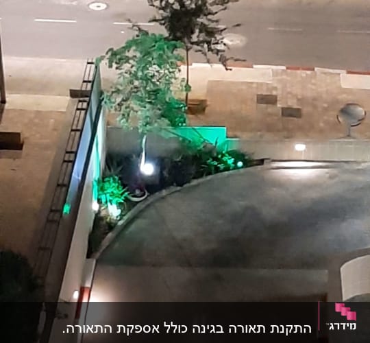 תאורת חוץ ירוקה ולבנה ליד עץ קטן